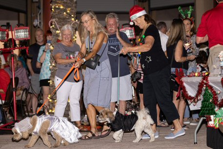 2022 Canine Pet Parade 94