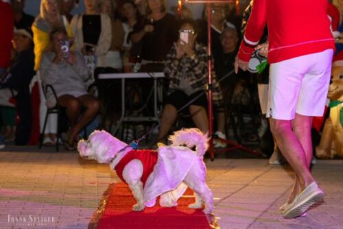 Canine Pet Parade 2023 105