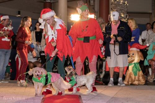 Canine Pet Parade 2023 114