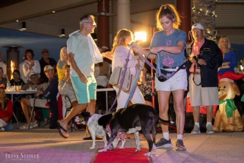 Canine Pet Parade 2023 125