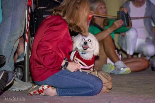 Canine Pet Parade 2023 134