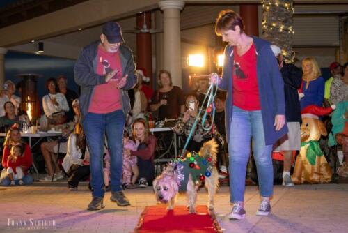 Canine Pet Parade 2023 141