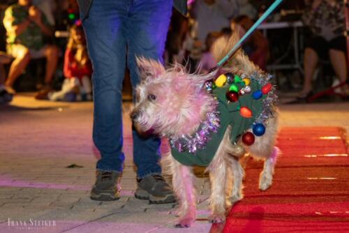 Canine Pet Parade 2023 143
