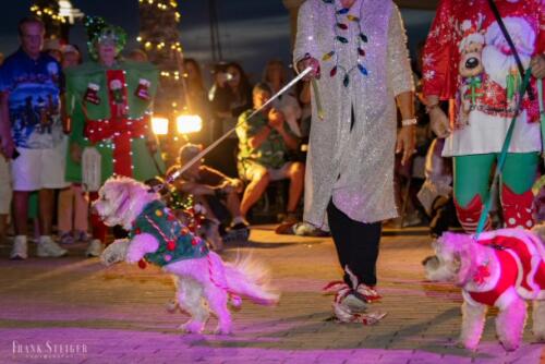 Canine Pet Parade 2023 149