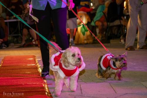 Canine Pet Parade 2023 150