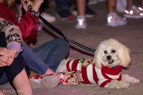 Canine Pet Parade 2023 163