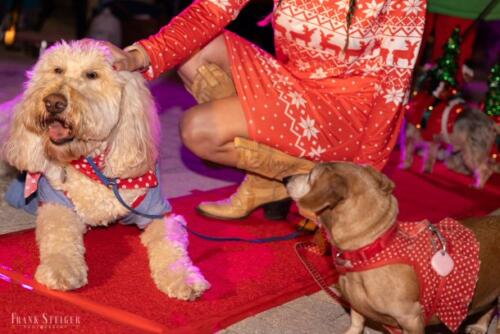 Canine Pet Parade 2023 184