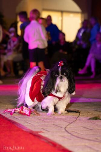 Canine Pet Parade 2023 194