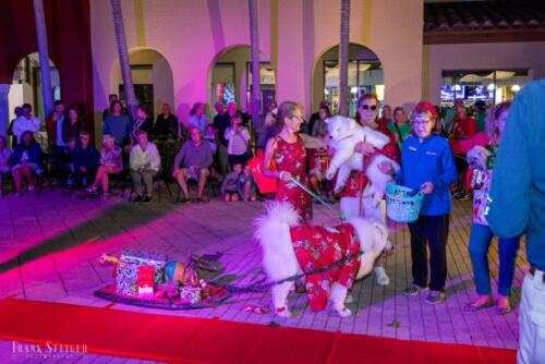 Canine Pet Parade 2023 220