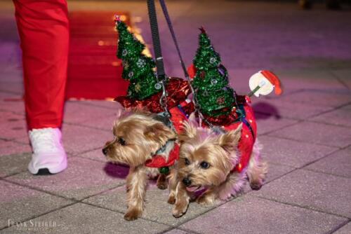 Canine Pet Parade 2023 71