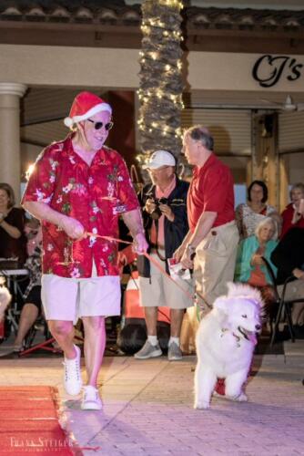 Canine Pet Parade 2023 95