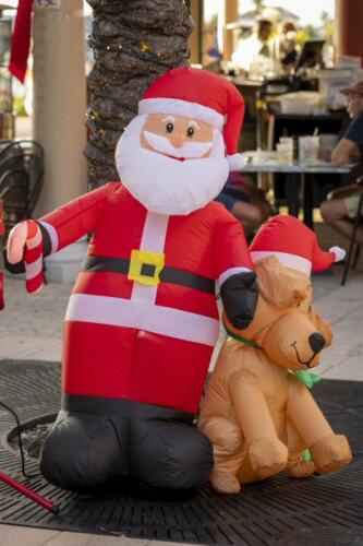 C.I.S. Canine Pet Parade 2024 1