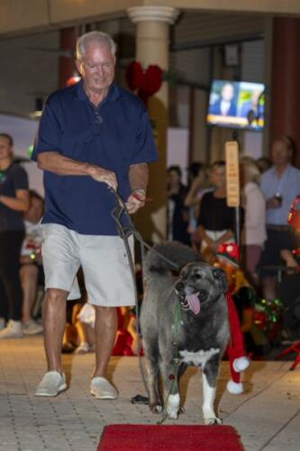 C.I.S. Canine Pet Parade 2024 117