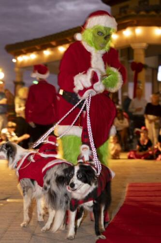 C.I.S. Canine Pet Parade 2024 142
