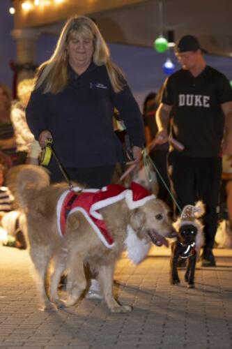 C.I.S. Canine Pet Parade 2024 149