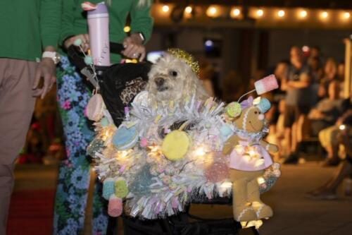 C.I.S. Canine Pet Parade 2024 187