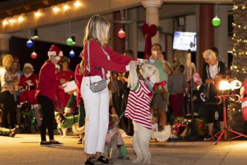 C.I.S. Canine Pet Parade 2024 219