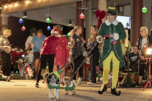 C.I.S. Canine Pet Parade 2024 226