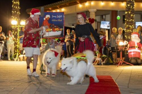 C.I.S. Canine Pet Parade 2024 247