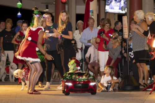 C.I.S. Canine Pet Parade 2024 252