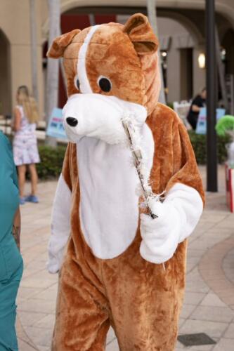 C.I.S. Canine Pet Parade 2024 27
