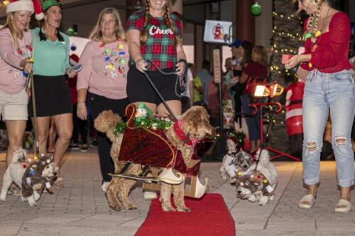 C.I.S. Canine Pet Parade 2024 58
