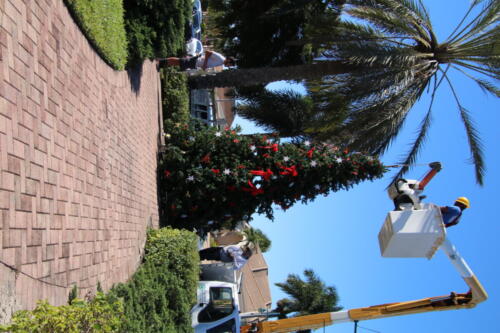 IMG 0097A