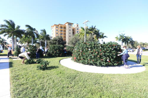 IMG 0948