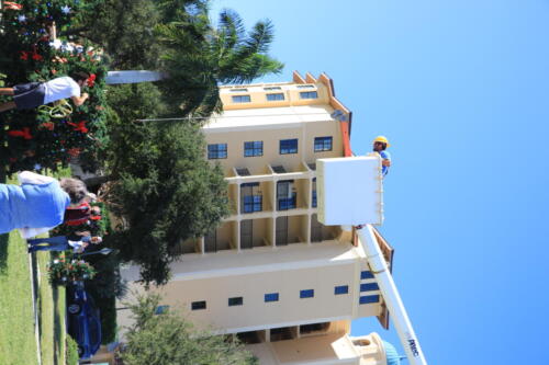 IMG 0981