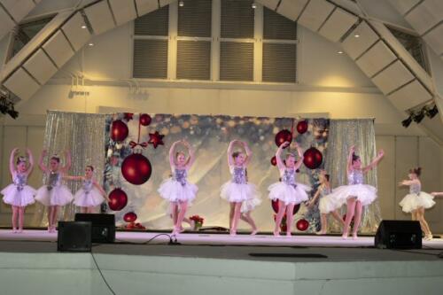 C.I.S. Tree Lighting 2024 154