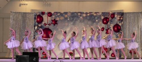 C.I.S. Tree Lighting 2024 165