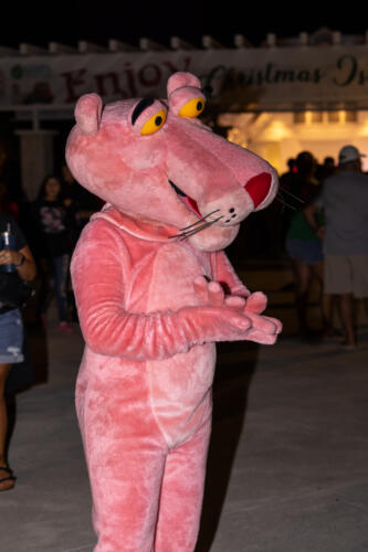 Tree Lighting 2023 42