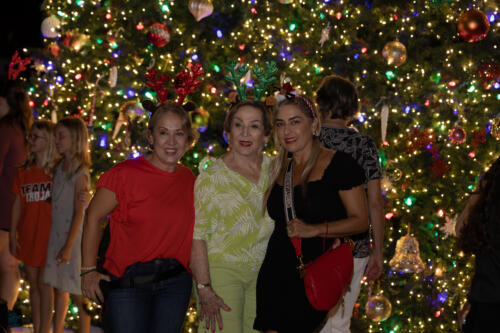 Tree Lighting 2023 44